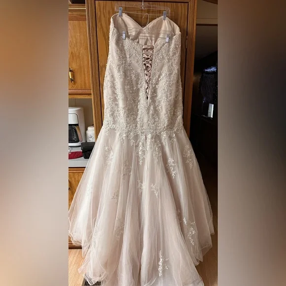 Champagne colored Mermaid style Essence of Australia wedding dress - Picture 5 of 7